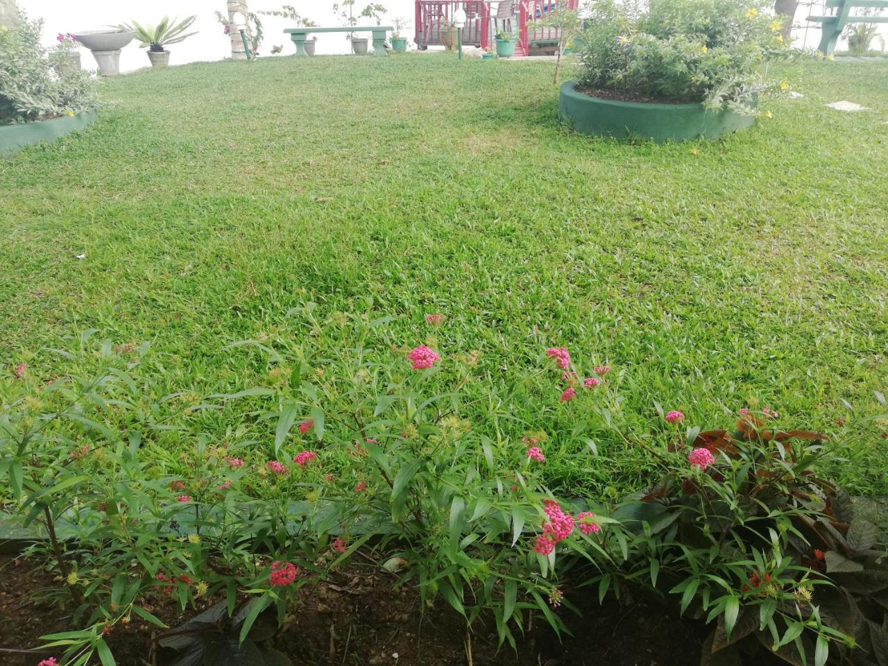 Mahi Villa 벤토타 외부 사진